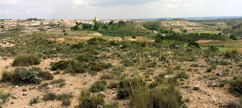 Vista lejana del pueblo