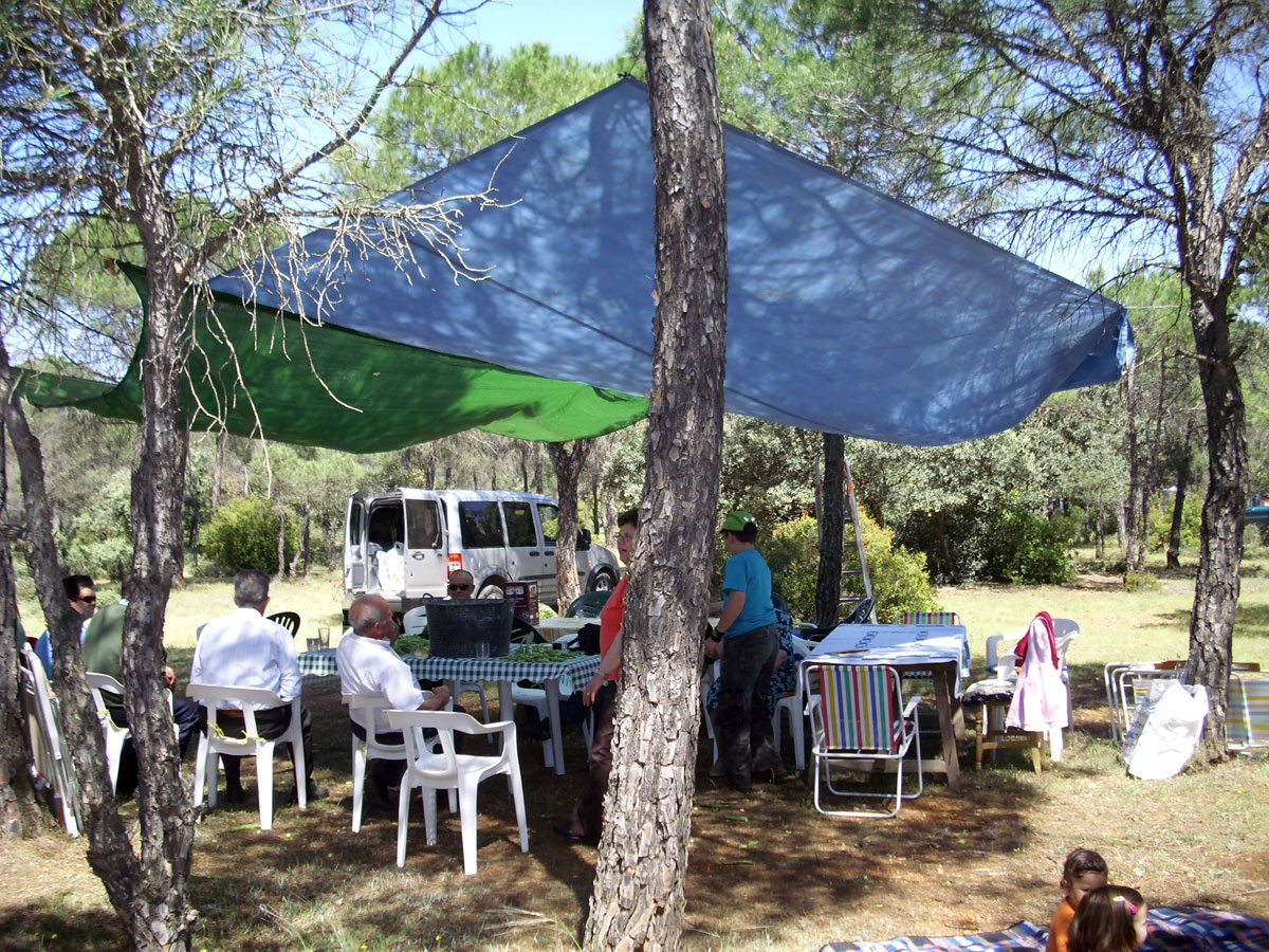 Fiestas de San isidro